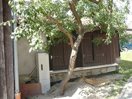 Scheierle Vesperstube Künzelsau Belsenberg Umbau 20